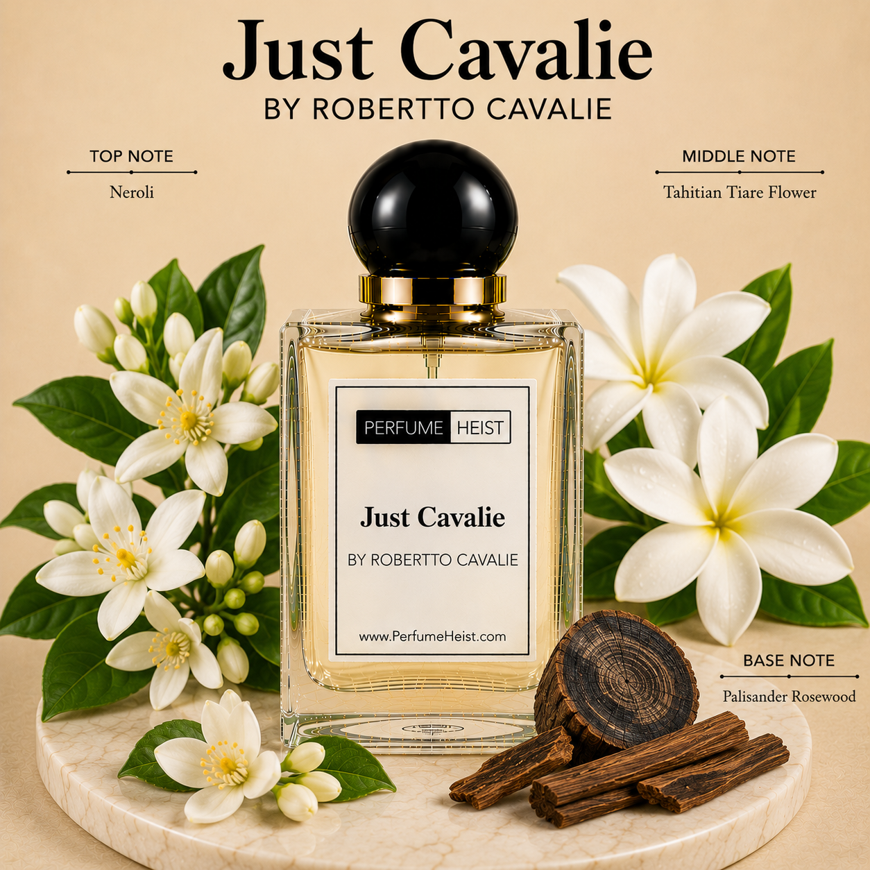 Just Cavalie by Robertto Cavalie Perfume