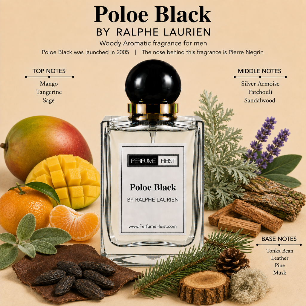 Poloe Black by Ralphe Laurien Perfume
