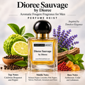 Dioree Sauvage Perfume